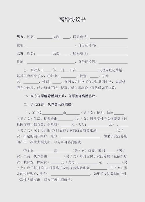 离婚协议探视权空白条款模板