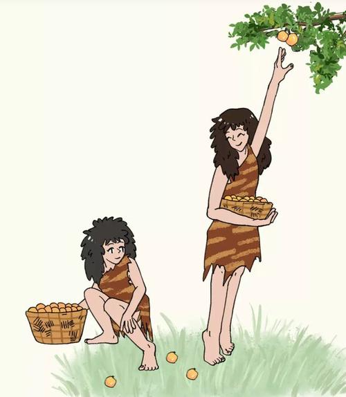 原始社会部落成员比较采摘浆果的场景插画