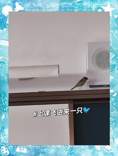 中小学教室学生围着讲台看飞进教室麻雀的场景