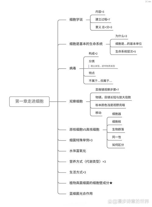 高中生物理知识图谱个人路径规划示意图