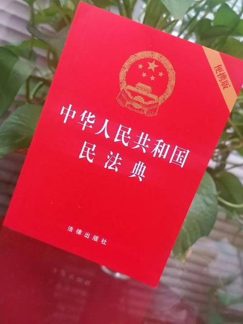 中华人民共和国民法典正式版实体书实拍