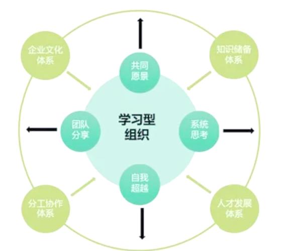 真正的学习型组织，敢在试错里进化