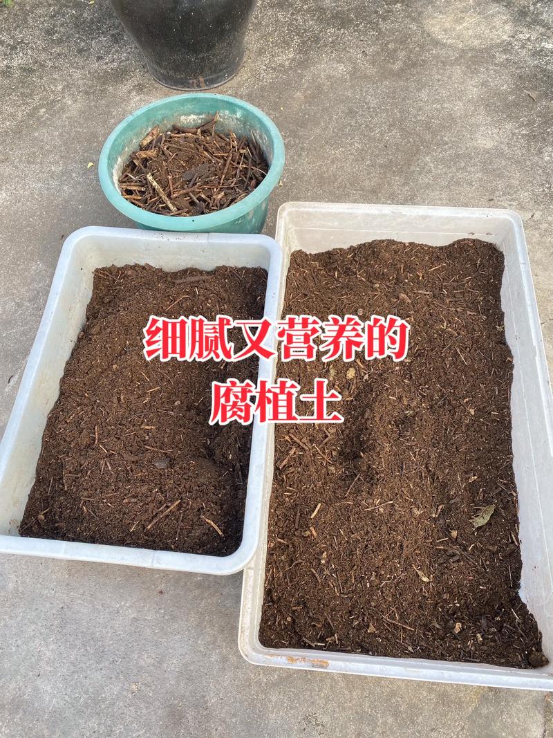 阳台整理箱堆出的落叶腐殖土