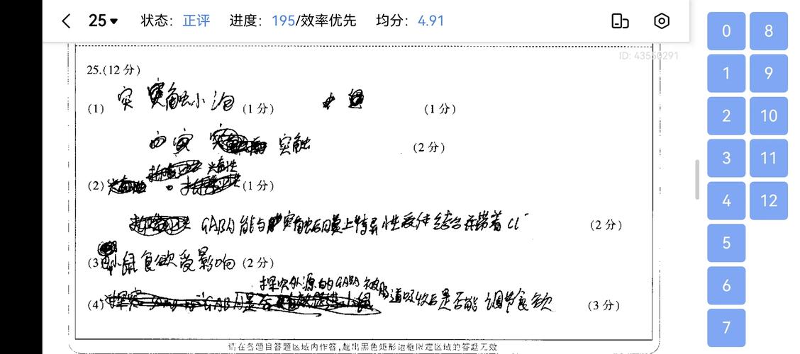 申论阅卷现场速评示意图