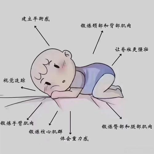 婴儿俯趴练习正确姿势示范图