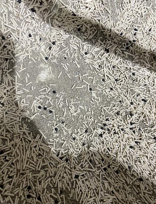 猫砂颗粒嵌在客厅地毯纤维缝隙里的特写