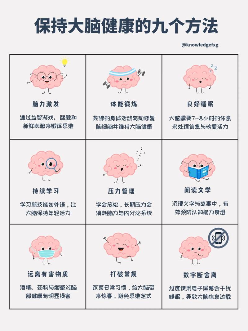 纠正第一步：出门前先搞定它的大脑