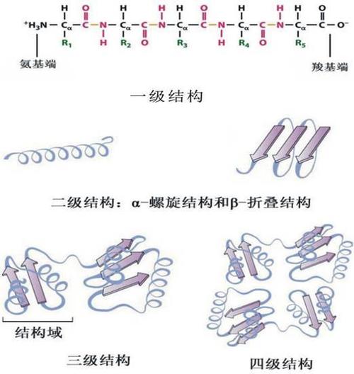 科研成果不能只看顶刊？那些改变世界的偶然与必然