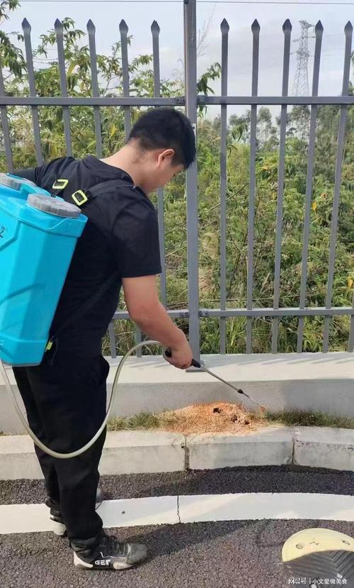 文物保护单位专业白蚁防治作业现场图