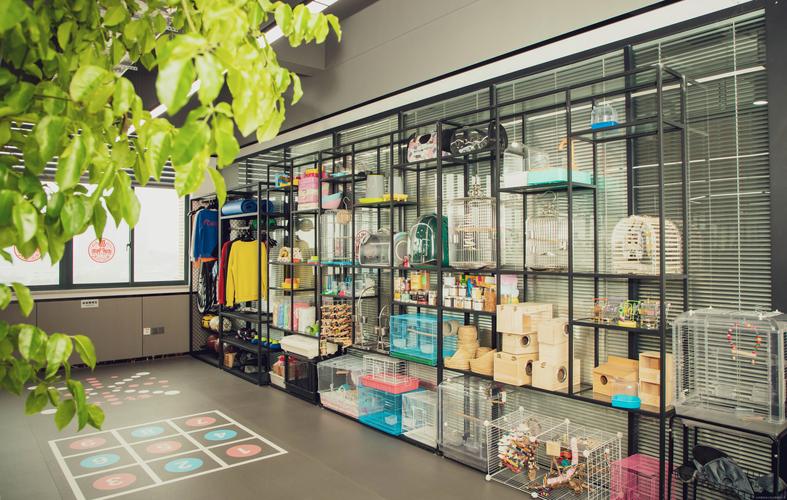 跨境独立站细分宠物用品用户评价展示墙