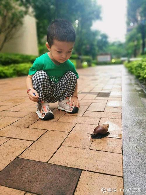 小男孩蹲在路边把橘子皮小房子盖在蜗牛壳上