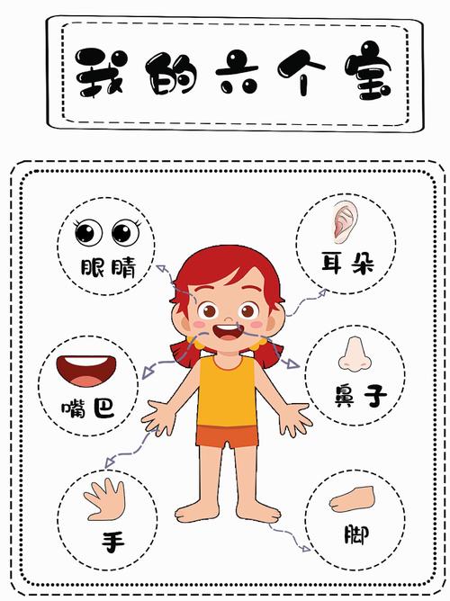 儿童身体认知启蒙手绘互动卡片