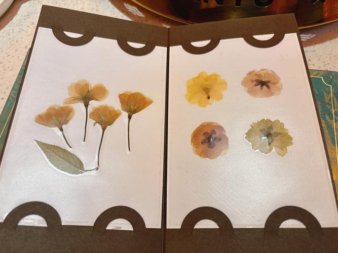 粘了树叶干花的手作天气记录本