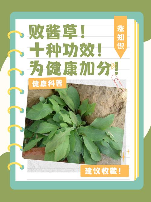 🌿 环保与验收,租客的健康你担着