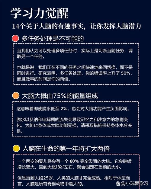 大脑的