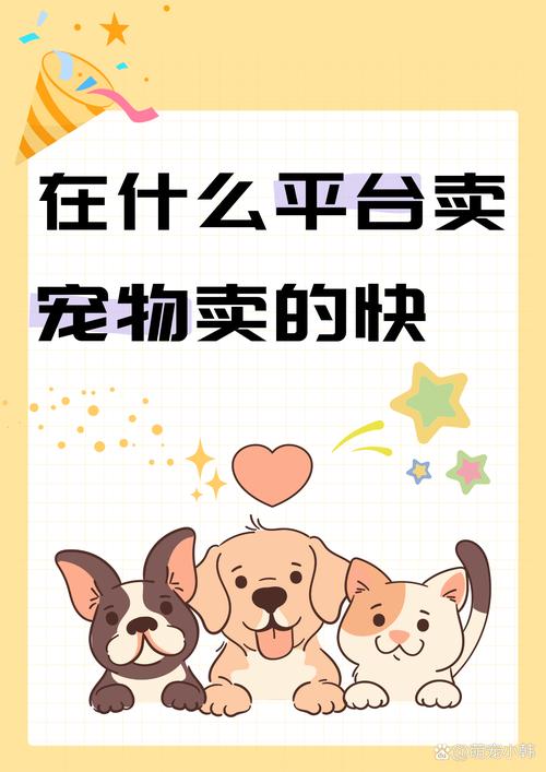 谁是平台经济的宠儿？
