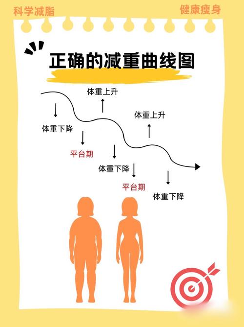 女性减脂期代谢适应下降曲线示意图