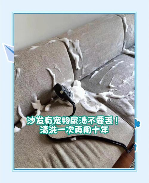 宠物尿渍残留沙发纤维细菌繁殖示意图