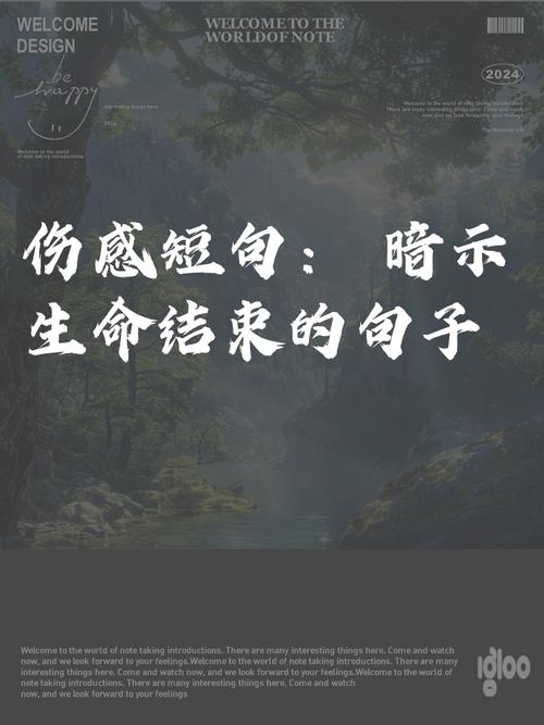 最后的话