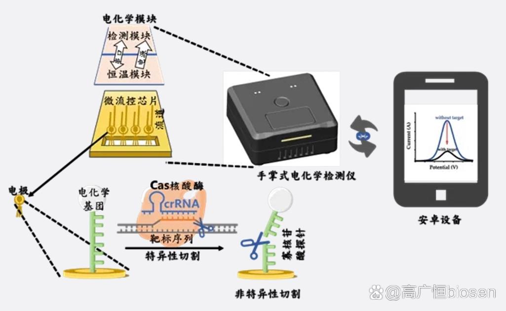 传感器:电化学还是红外?选错真要命
