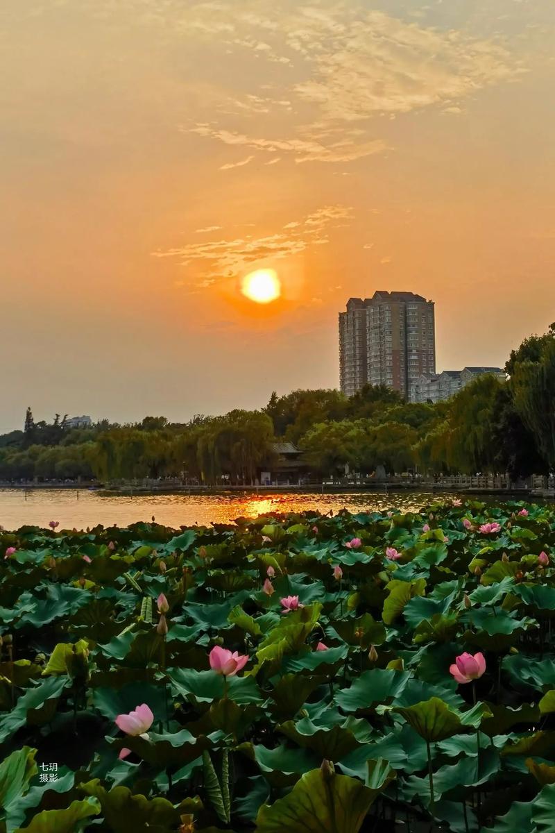 大明湖夕阳