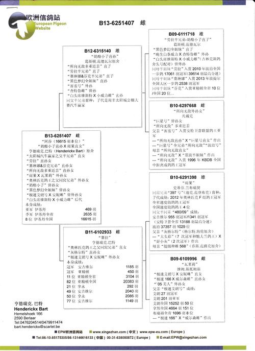 几个血泪换来的技术选型真相