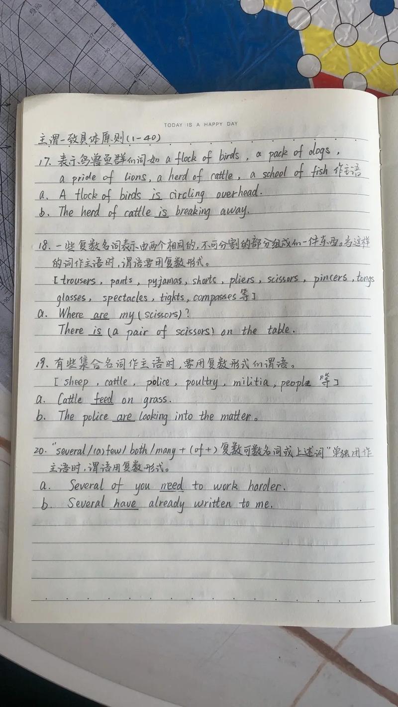 中考英语主谓一致典型易错题手写笔记
