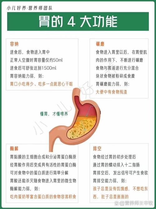 胃容量分配策略与避坑指南