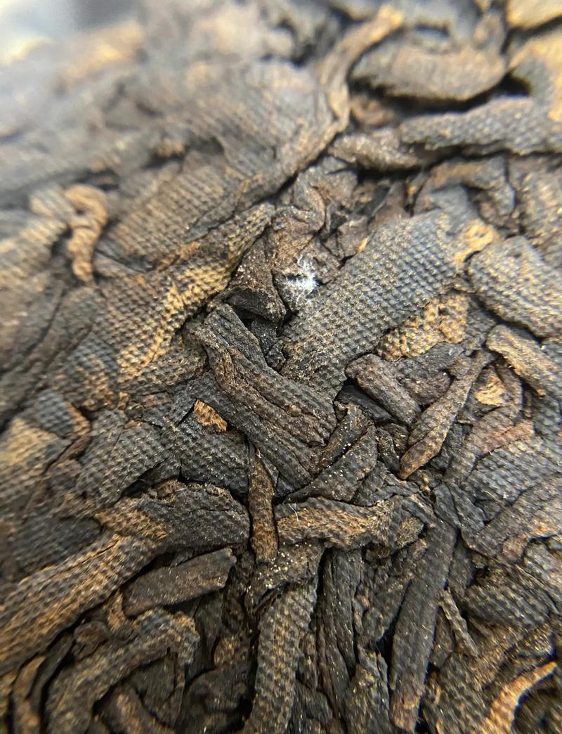 仓库温湿度不达标发霉普洱茶实拍