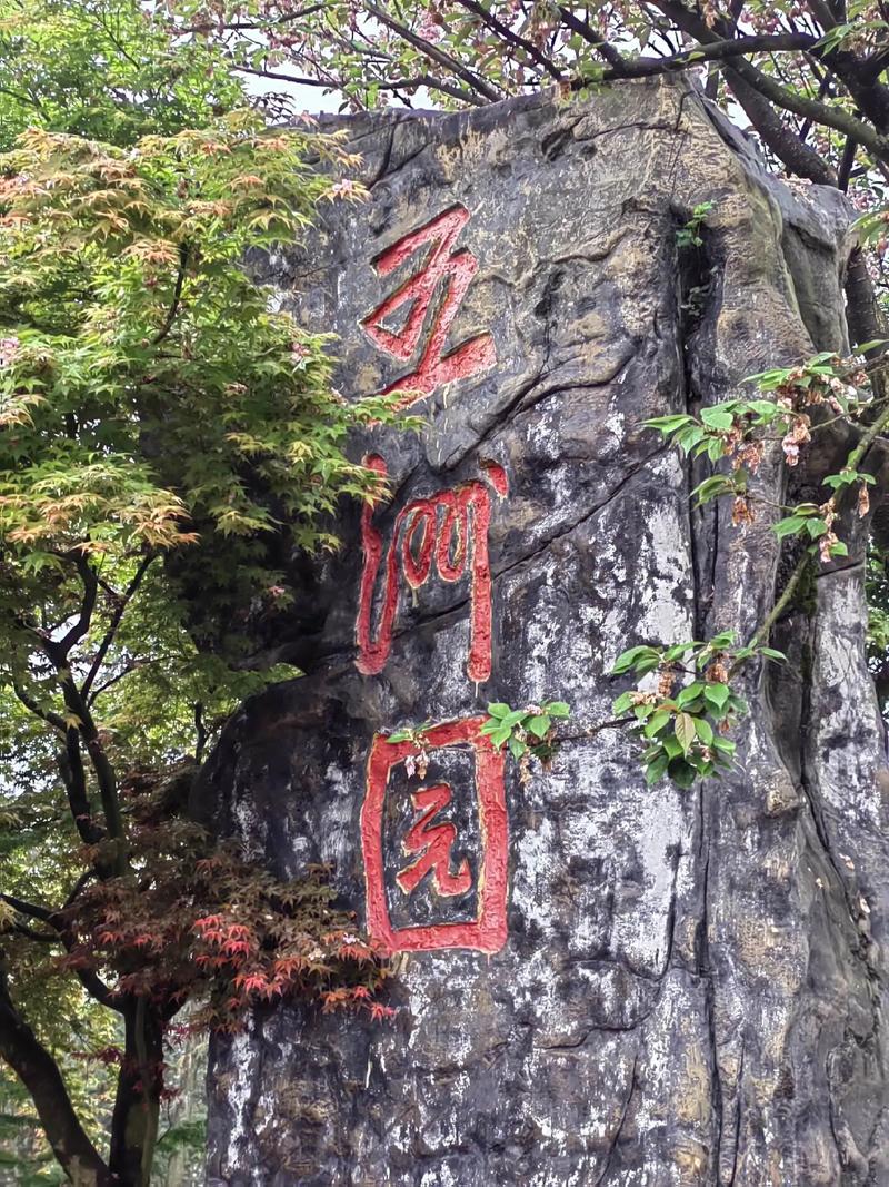 圣灯山废弃瞭望塔红叶