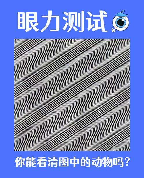 自注意力:一个眼神就够了