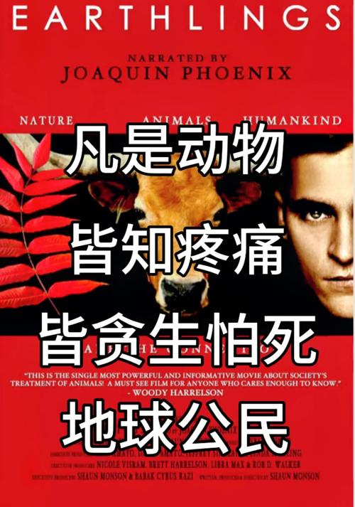 三、社会保护,不只是大人的世界