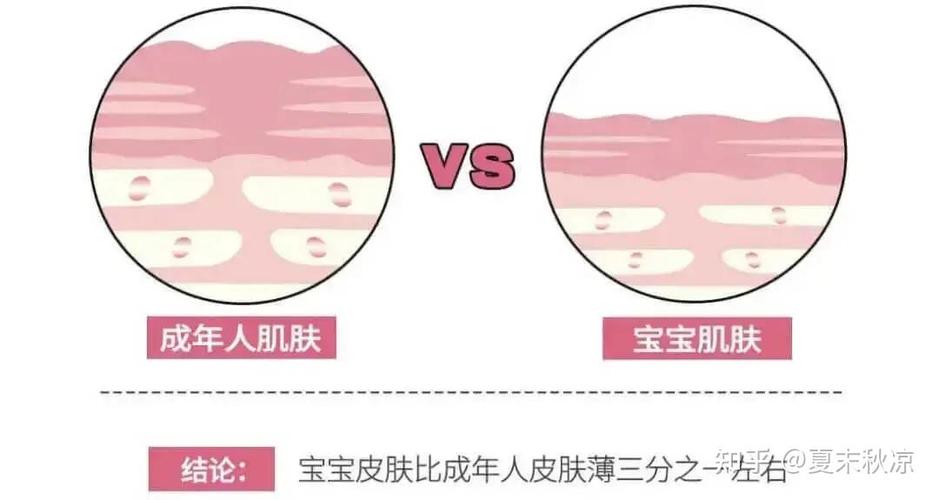 婴儿皮肤与成人皮肤结构对比图