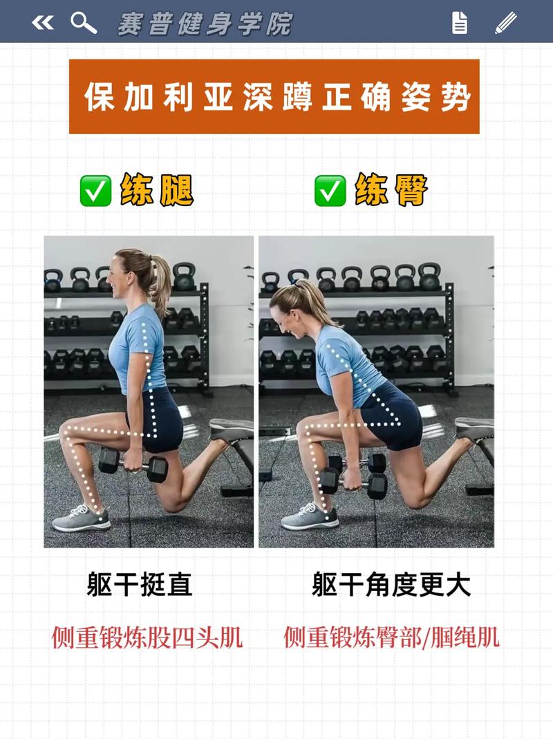 哑铃保加利亚分腿蹲标准动作示意图