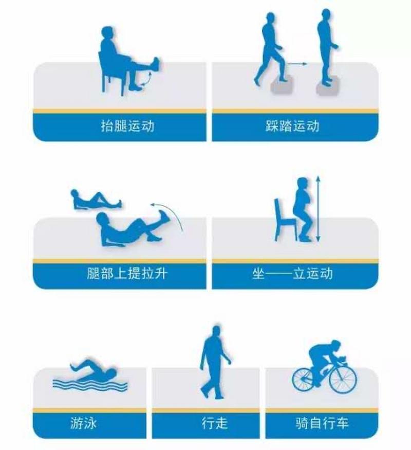 适合日常骨骼养护的低强度负重运动示例图