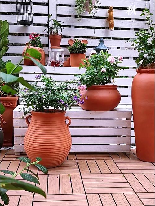 阳台香草盆栽红陶盆种植实景