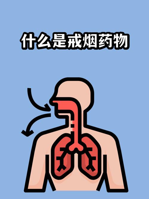 普通人该拿注意力机制怎么办