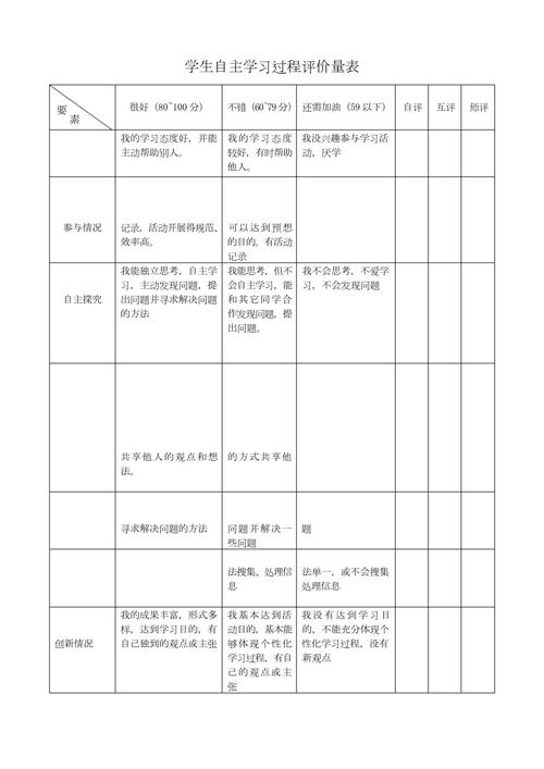过程性评价量规表示例