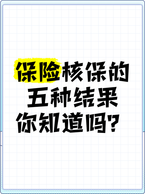 保险核保标准体承保结果示例图