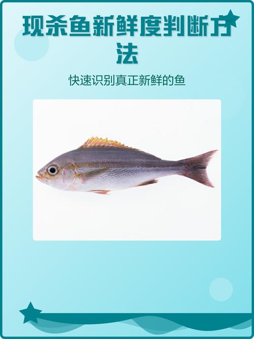 海鲜市场鲜鱼眼睛和鱼鳃新鲜度辨别图