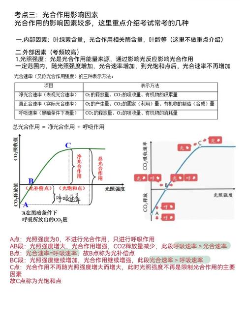 高中生物光合作用速率影响因素曲线图