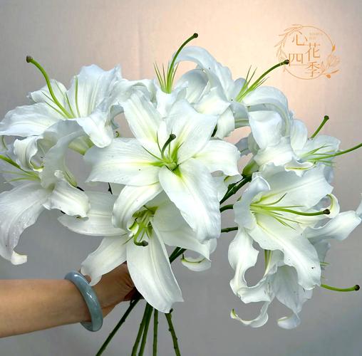 白色东方百合西伯利亚品种新娘手捧花细节