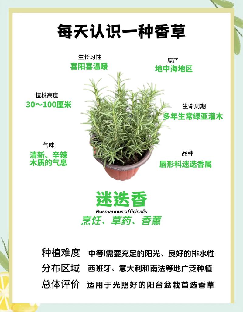 芳香环境营造的几个大坑,一定要注意