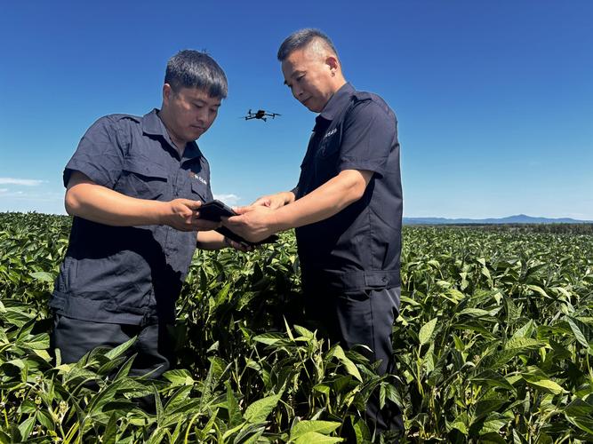 种植险投保前作物生长情况核验实拍