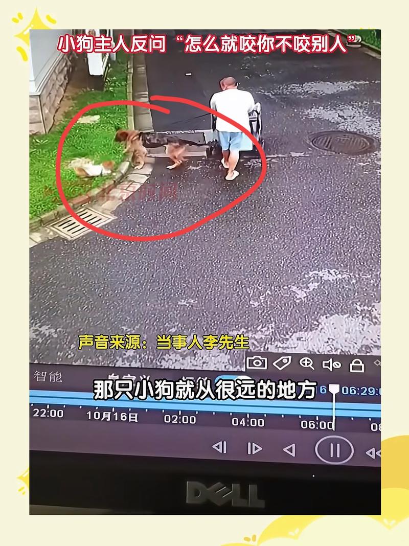 城市小区不牵绳遛狗咬人纠纷现场图