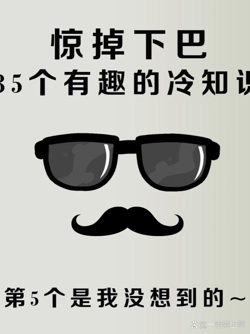 关于手机壁纸的几个实用冷知识