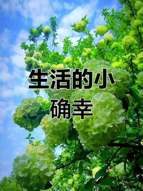 创造你的小小避难所