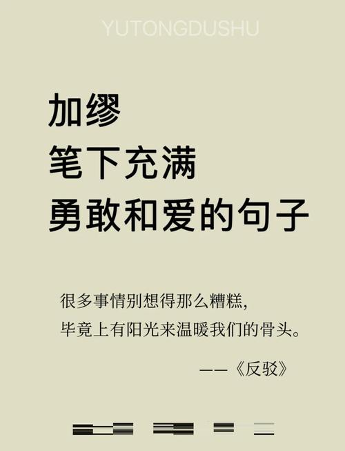 加名的那一刻,你签的不是爱,是规则的模糊带