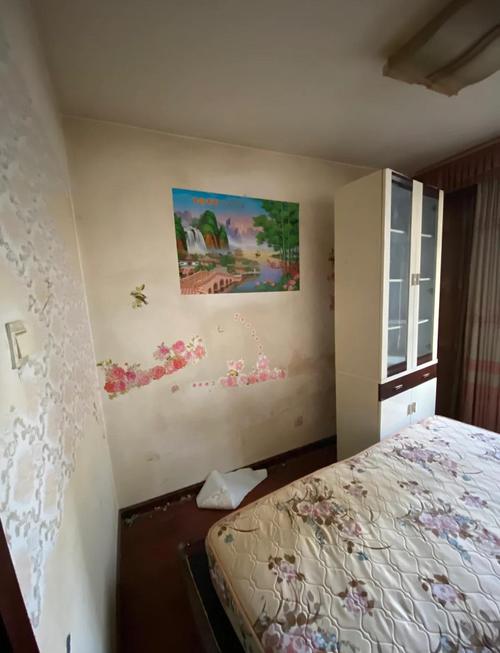 租客入住当日拍房屋墙面瑕疵视频场景