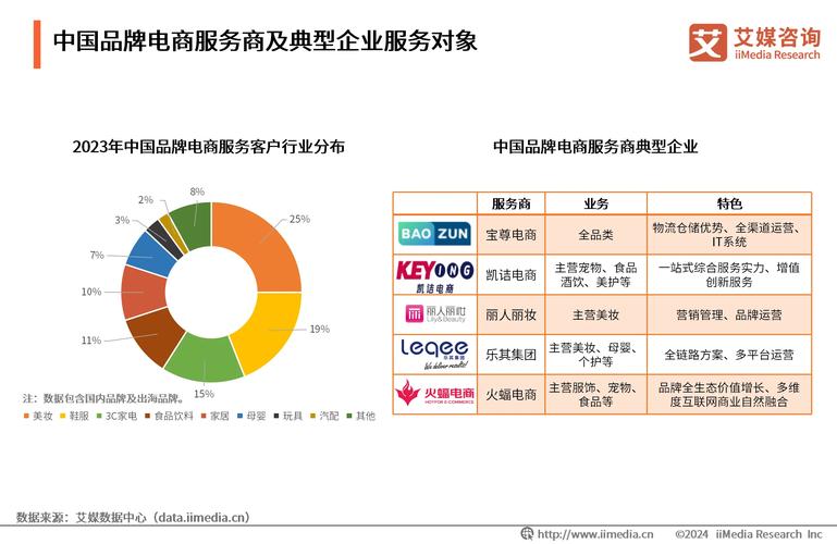 不同梯队服务商适合什么类型的电商?